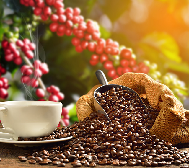 ハワイアンフード