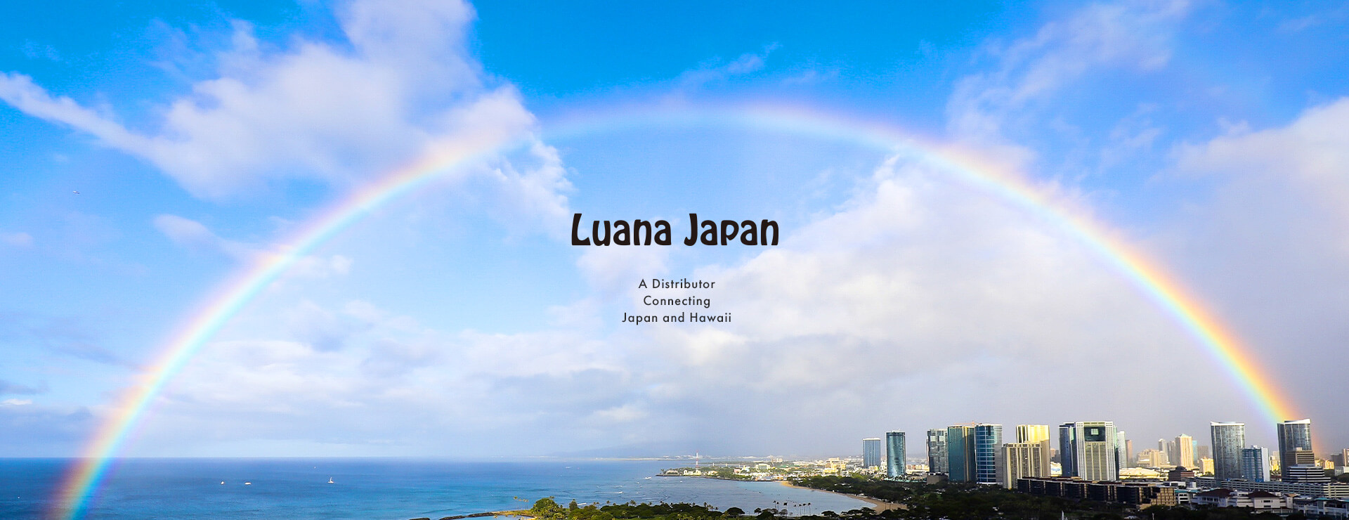 Luana Japan会社概要