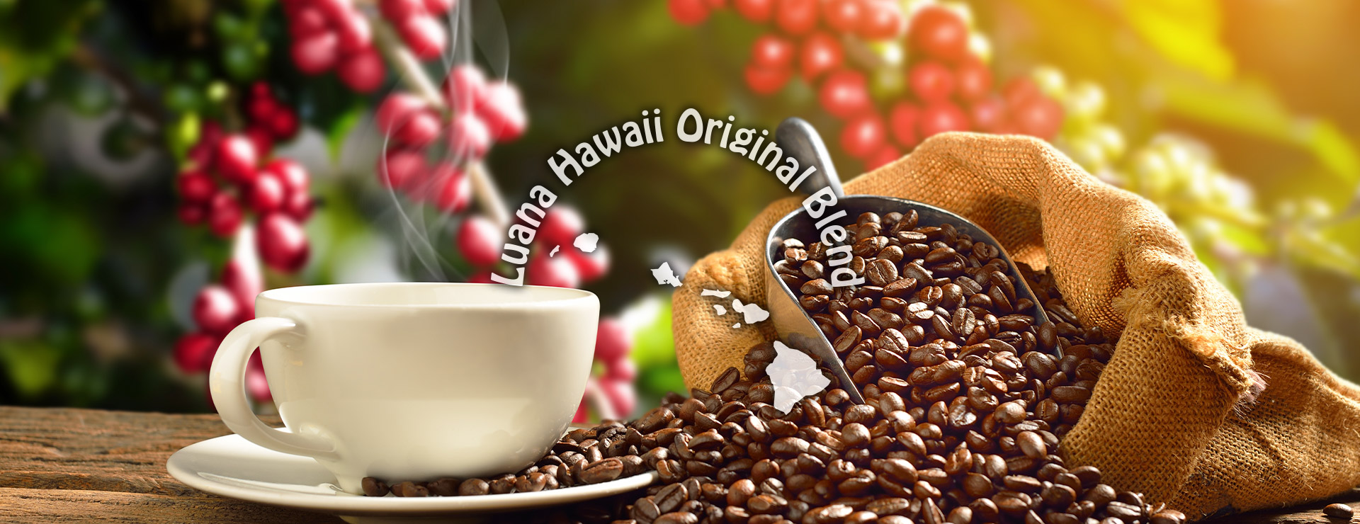 Luana Hawaii（ルアナ ハワイ）